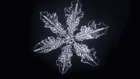 ！雪花珠宝让你美丽不冻人瓦力游戏试玩冬季浪漫必备(图5)