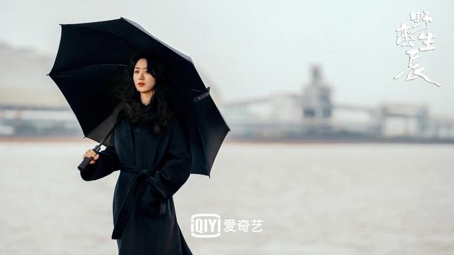 大视后！千万级女土豪发家史黑幕多瓦力棋牌试玩赵丽颖演技巅峰狂夺两(图20)
